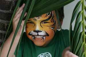 cool faces face painting sunshine coast and brisbane